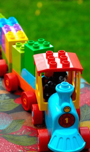 Toy